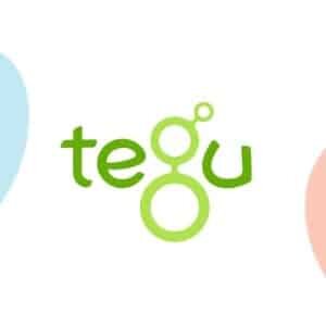 MojToj - pekné detské hračky tegu toys - MojToj - pekné detské hračky